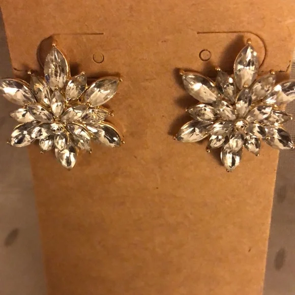 Snowflake Cluster Earrings - Picture 3 of 4